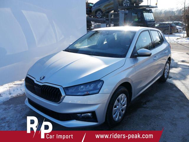Skoda Fabia - Selection 1.0 TSI *NAVI-&Uuml;BER-SMARTLINK*PDC-HI*LED*SHZ*KLIMA*RADIO