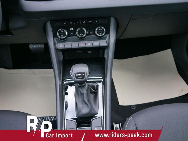 Skoda Karoq Selection 2.0 TDI DSG 4x4 4x4*AHK*TEMPOMAT*SMARTLINK*KLIMAAUTOMATIK*SHZ*LED 