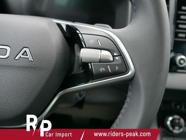 Skoda Karoq Selection 2.0 TDI DSG 4x4 4x4*AHK*TEMPOMAT*SMARTLINK*KLIMAAUTOMATIK*SHZ*LED 