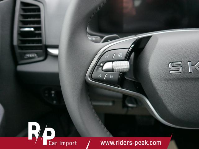 Skoda Karoq Selection 2.0 TDI DSG 4x4 4x4*AHK*TEMPOMAT*SMARTLINK*KLIMAAUTOMATIK*SHZ*LED 