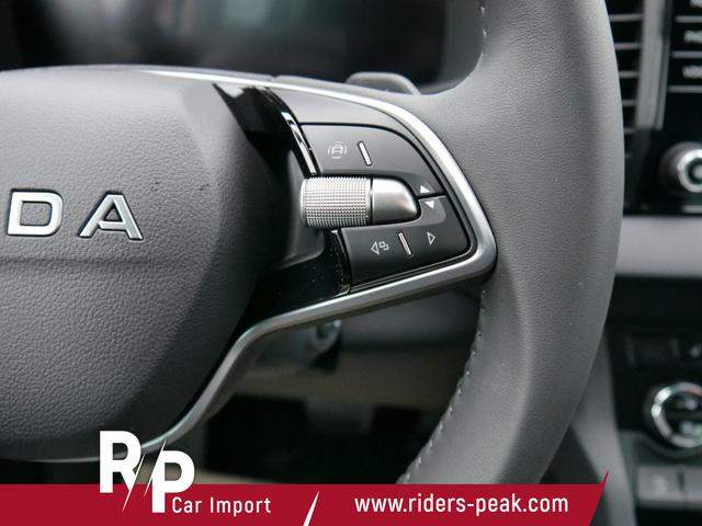 Skoda Karoq Selection 2.0 TDI DSG 4x4 4x4*AHK*TEMPOMAT*SMARTLINK*KLIMAAUTOMATIK*SHZ*LED 