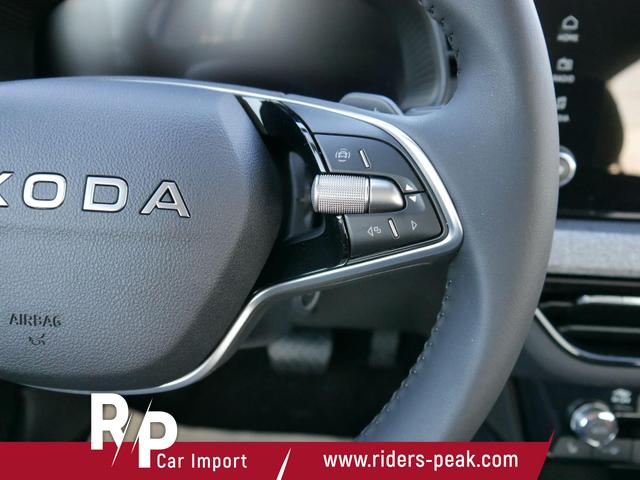 Skoda Kamiq Selection 1.5 TSI DSG*SMARTLINK*LED*PDC-HI*TEMPOMAT*SHZ*KLIMA 