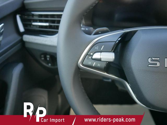 Skoda Kamiq Selection 1.5 TSI DSG*SMARTLINK*LED*PDC-HI*TEMPOMAT*SHZ*KLIMA 