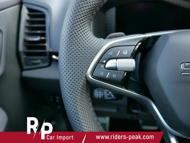 Skoda Karoq Sportline 2.0 TDI 4x4 DSG*AHK-SCHWENKBAR*ACC*PDC-HI*LED*SHZ*TEMPOMAT*KLIMA 