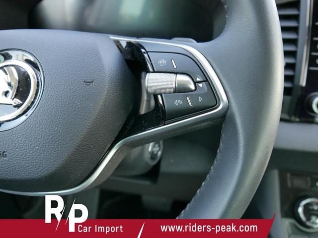 Skoda Karoq Selection TOP PLUS Edition 1,5 TSI DSG*SMARTLINK*LED*PDC*KAMERA*TEMPOMAT*SHZ 