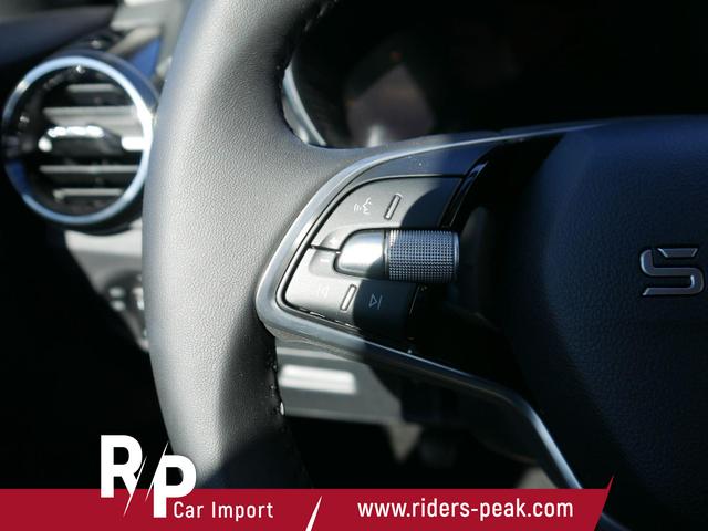 Skoda Fabia Selection 1.0 TSI*PDC-HINTEN*SMARTLINK*KEYLESS-GO*LED*BLUETOOTH*WINTERPAKET* 