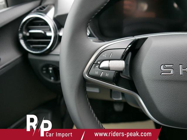 Skoda Fabia Selection 1.0 TSI *LED*PDC-HI*SMARTLINK*SHZ*BLUETOOTH*FRONT-ASSIST 