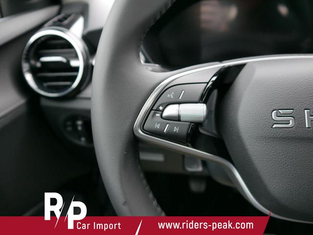 Skoda Fabia Selection 1.0 TSI *LED*PDC-HI*SMARTLINK*SHZ*BLUETOOTH*FRONT-ASSIST 