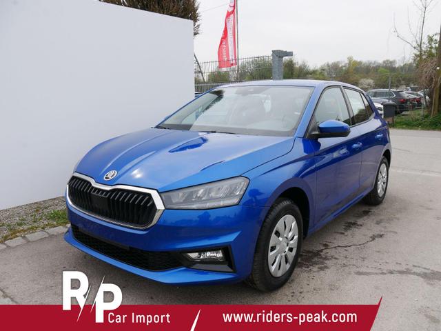 Skoda Fabia - Selection 1.0 TSI DSG*NAVI-&Uuml;BER-SMARTLINK*LED*PDC-HI*SHZ*DAB*KLIMA