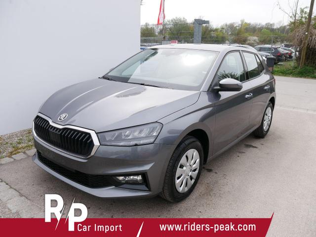 Skoda Fabia - Selection 1.0 TSI DSG*NAVI-&Uuml;BER-SMARTLINK*LED*PDC-HI*SHZ*DAB*KLIMA