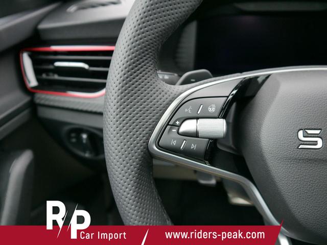 Skoda Kamiq Monte Carlo 1,5 TSI DSG*AHK-SCHWENKBAR*PDC*MATRIX-LED*KAMERA*SHZ*17-ZOLL 