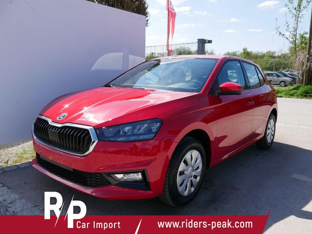 Skoda Fabia - Selection 1.0 TSI DSG*NAVI-&Uuml;BER-SMARTLINK*LED*PDC-HI*SHZ*DAB*KLIMA
