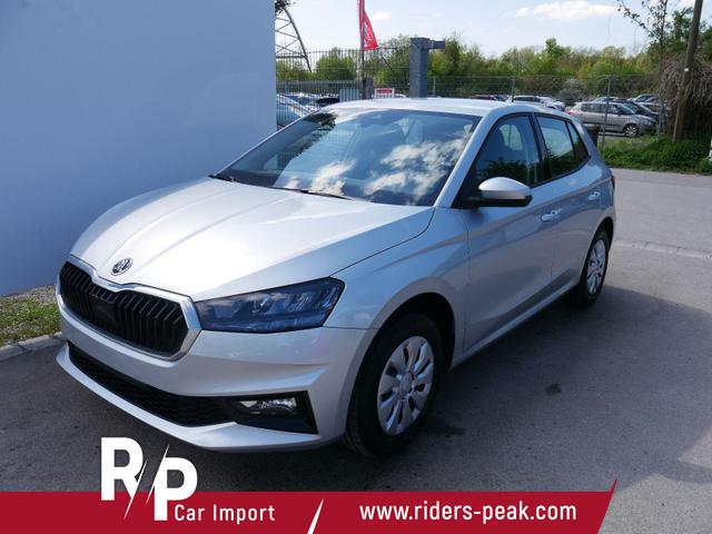 Skoda Fabia - Selection 1.0 TSI DSG*NAVI-&Uuml;BER-SMARTLINK*LED*PDC-HI*SHZ*DAB*KLIMA