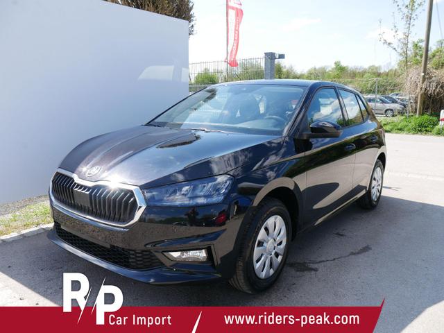 Skoda Fabia - Selection 1.0 TSI DSG*NAVI-&Uuml;BER-SMARTLINK*LED*PDC-HI*SHZ*DAB*KLIMA