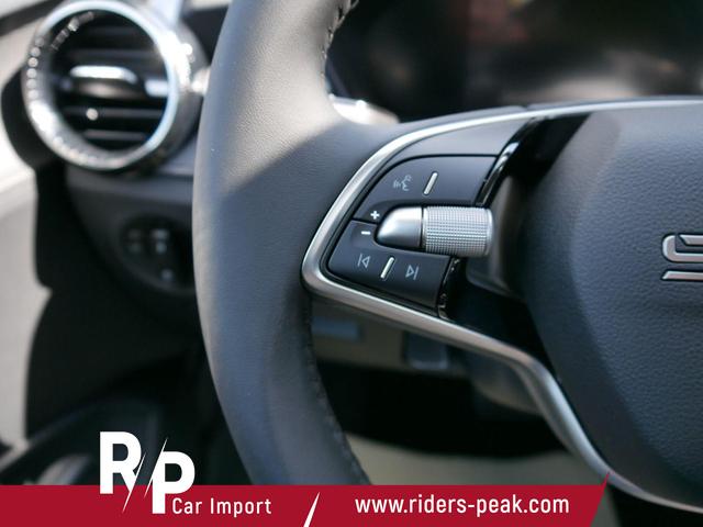 Skoda Fabia Selection 1.0 TSI DSG*NAVI-&Uuml;BER-SMARTLINK*LED*PDC-HI*SHZ*DAB*KLIMA 