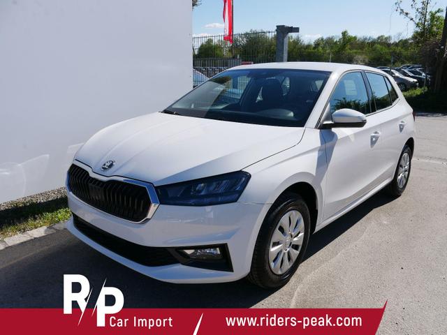 Skoda Fabia - Selection 1.0 TSI DSG*NAVI-&Uuml;BER-SMARTLINK*LED*PDC-HI*SHZ*DAB*KLIMA