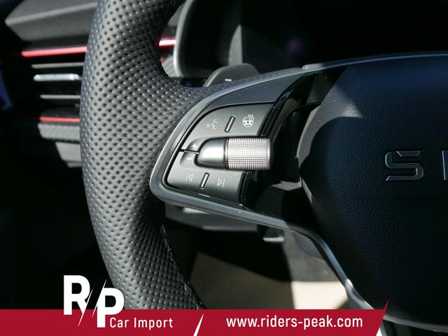 Skoda Kamiq Monte Carlo 1,5 TSI DSG *AHK-SCHWENKBAR*PDC-HINTEN*KAMERA*SHZ*KESSY*LENKRADHEIZUNG* 