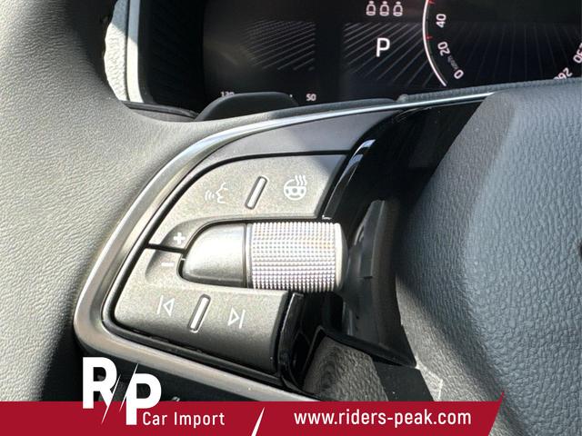 Skoda / Karoq / Grau / / / SHZ+ACC+KESSY+VICO+SMARTLINK+18'' ALU