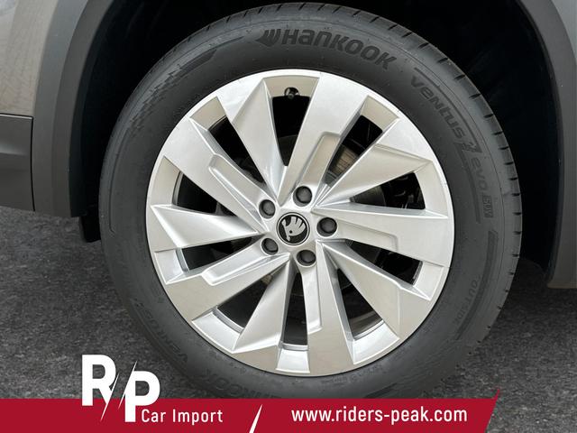 Skoda / Kodiaq / Grau / / / DSG+NAVI+19'' ALU+ACC+KAMERA