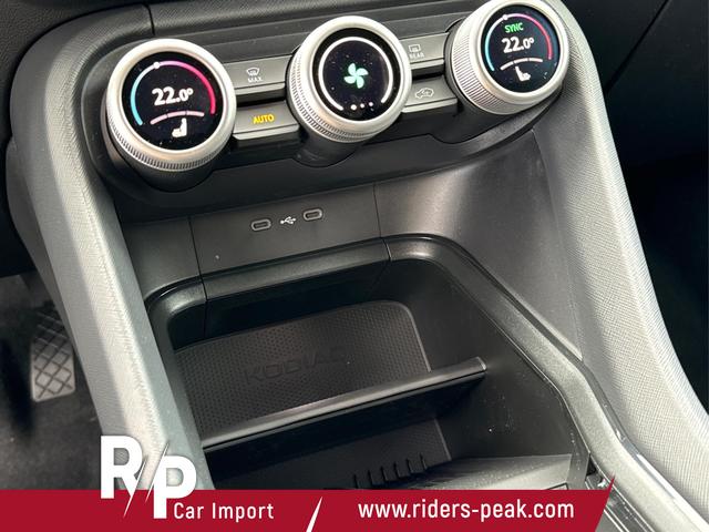 Skoda / Kodiaq / Grau / / / DSG+NAVI+19'' ALU+ACC+KAMERA