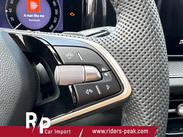 Skoda / Kodiaq / Grau / / / DSG+NAVI+19'' ALU+ACC+KAMERA