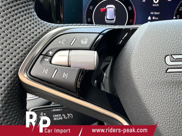 Skoda / Kodiaq / Grau / / / DSG+NAVI+19'' ALU+ACC+KAMERA