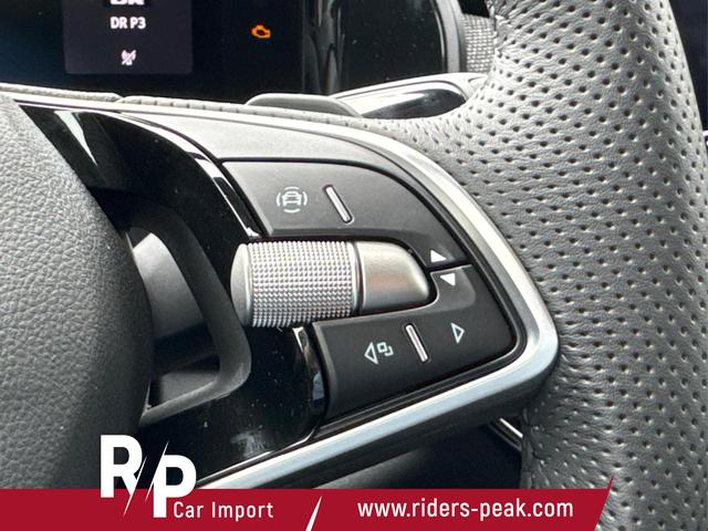 Skoda / Kodiaq / Grau / / / 4WD+DSG+NAVI+19'' ALU+ACC+KAMERA