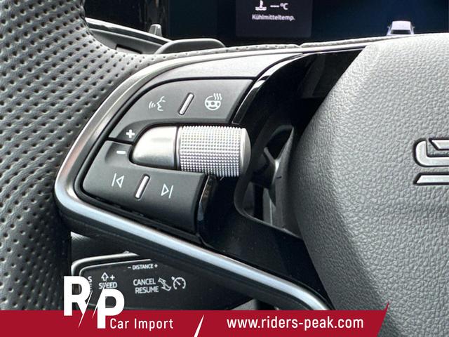 Skoda / Kodiaq / Grau / / / 4WD+DSG+NAVI+19'' ALU+ACC+KAMERA