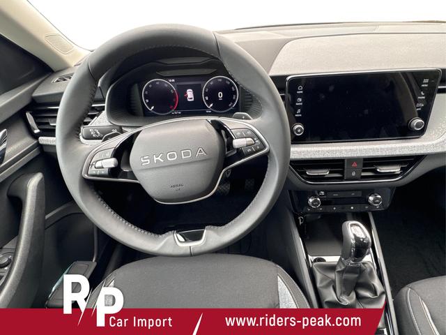 Skoda / Kamiq / Grau / / / ACC+EL.HECKKL.+SHZ+LED