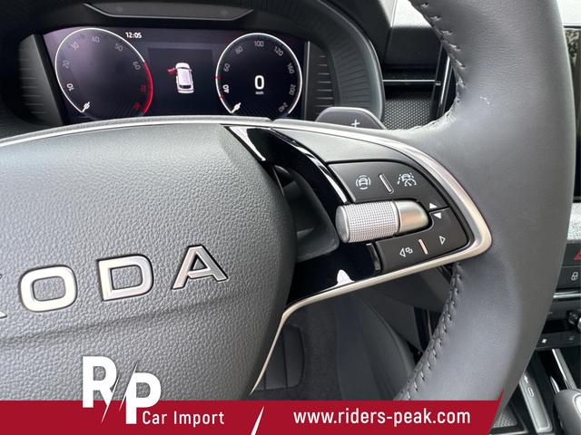 Skoda / Kamiq / Grau / / / ACC+EL.HECKKL.+SHZ+LED