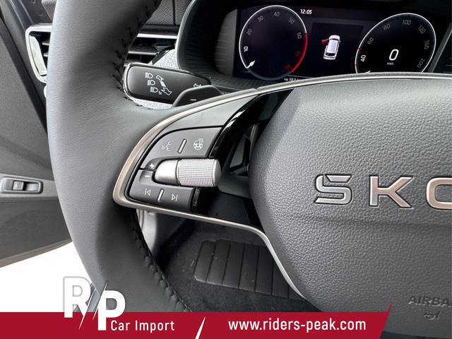 Skoda / Kamiq / Grau / / / ACC+EL.HECKKL.+SHZ+LED