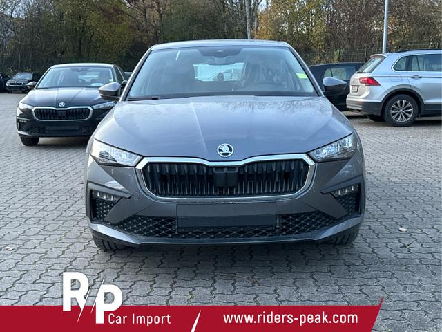 Skoda / Scala / Grau / / / LED+PDC+LANE ASSIST+SHZ