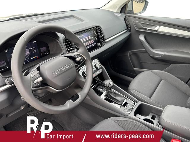Skoda / Karoq / Grau / / / AHK+KAMERA+EL. HECKKL.+SHZ+ACC+KESSY+18''ALU