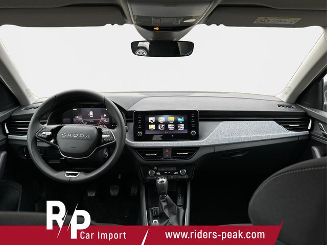 Skoda / Scala / Grau / / / LED+PDC+LANE ASSIST+SHZ