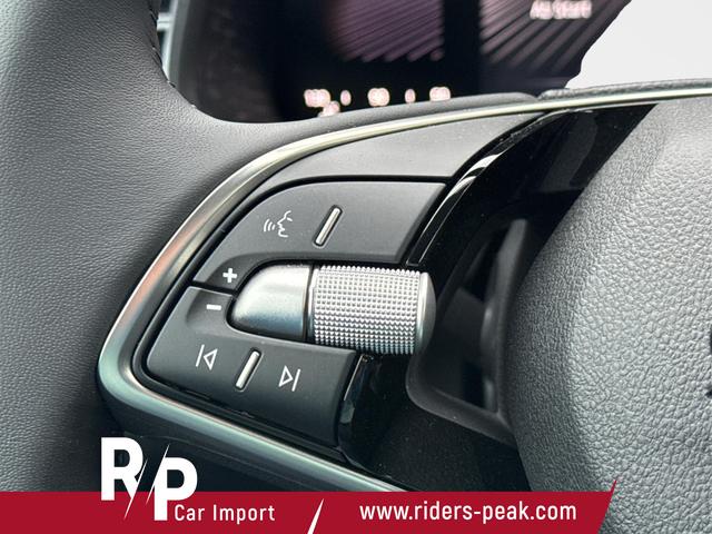 Skoda / Scala / Grau / / / LED+PDC+LANE ASSIST+SHZ