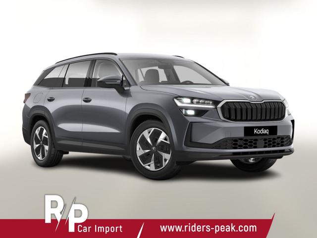 Skoda Kodiaq - TDI 193 DSG 4x4 Selec AHK Matrix 7-S Nav