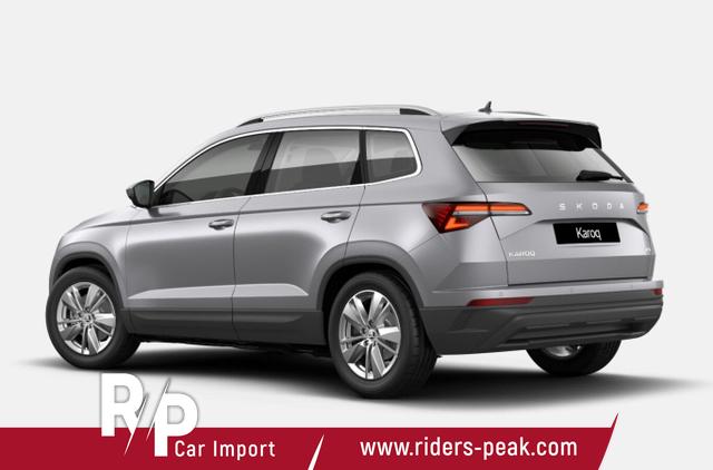 Skoda Karoq TDI 150 DSG 4x4 Selec LED Nav Kam SHZ SunS 