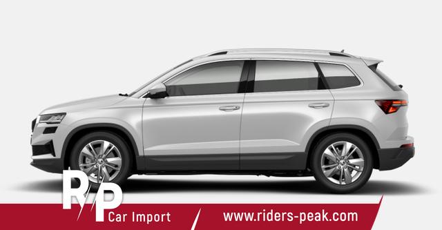 Skoda Karoq Selection TDI 150 DSG Selec LED Nav Kam SHZ SunS 