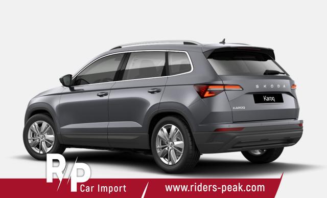Skoda Karoq Selection TDI 150 DSG Selec LED Nav Kam SHZ SunS 