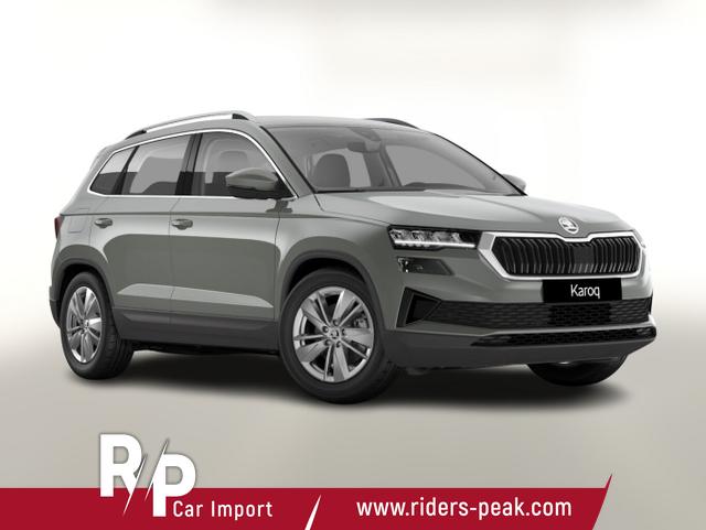 Skoda Karoq - Selection TSI DSG Selec LED Nav Kam SHZ SunS Kessy