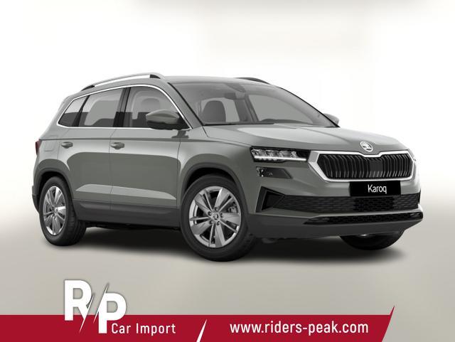 Skoda Karoq - Selection TSI DSG Selec AHK LED Nav Kam SHZ SunS
