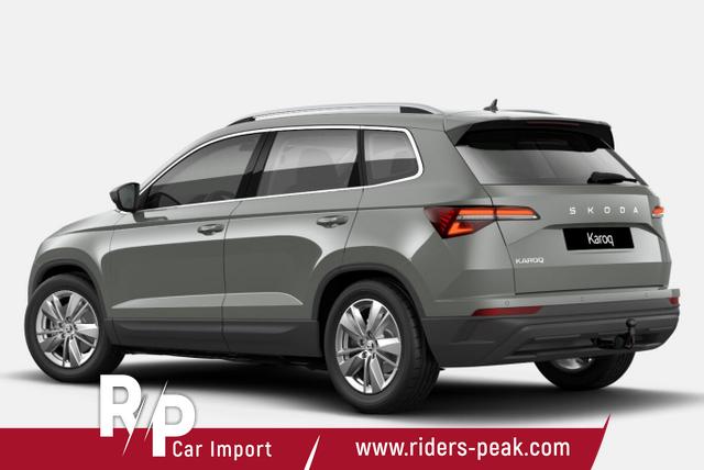Skoda Karoq Selection TSI DSG Selec AHK LED Nav Kam SHZ SunS 