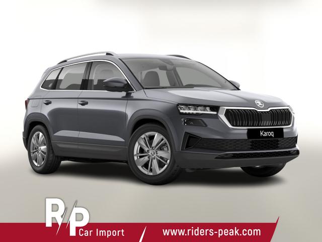 Skoda Karoq - Selection TSI DSG Selec LED Nav Kam SHZ SunS Kessy