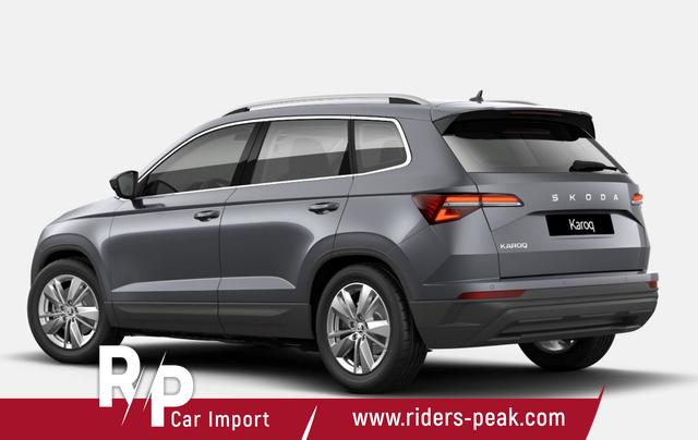 Skoda Karoq Selection TSI DSG Selec LED Nav Kam SHZ SunS Kessy 