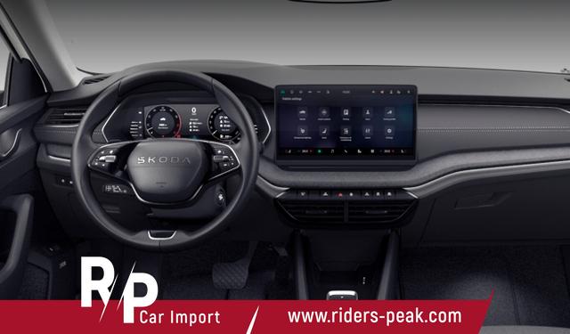 Skoda Octavia Combi TSI DSG 4x4 Selec FL Matrix Leder 