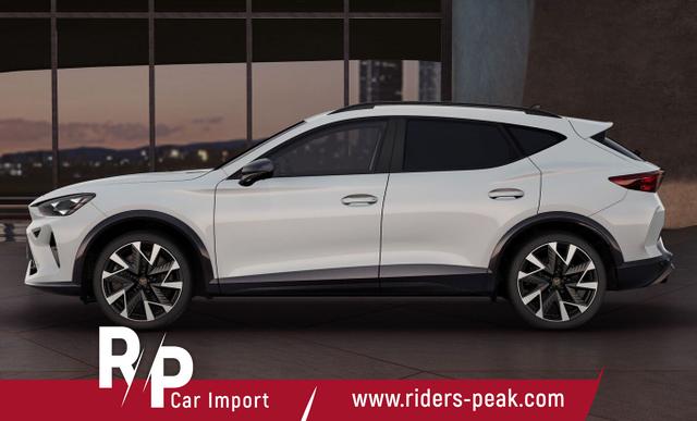 Cupra Formentor VZ 2.0 TSI 333 Memory eHK Keyl SHZ Kam 