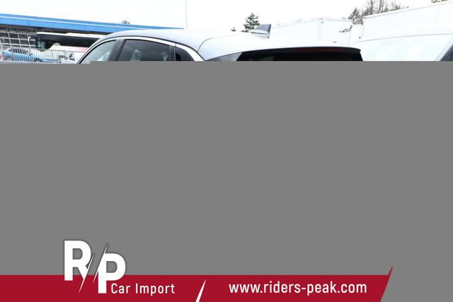 Renault Mégane E-TECH Iconic Megane EV60 220 OptiCharge Leder 