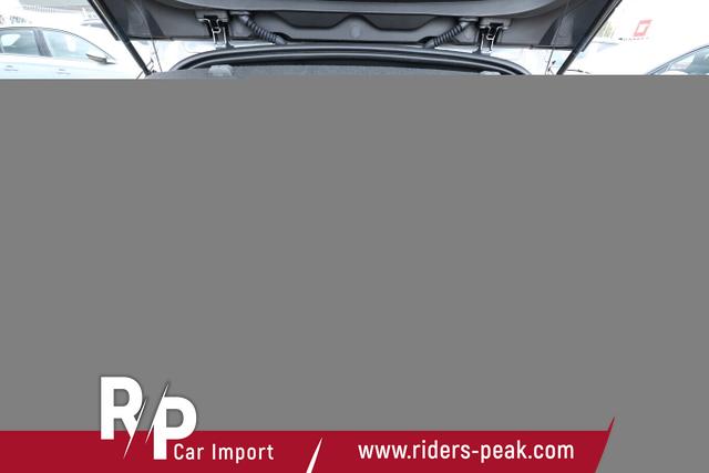 Renault Mégane E-TECH Iconic Megane EV60 220 OptiCharge Leder 