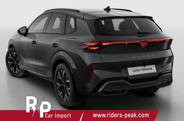 Cupra Terramar 1.5 eTSI 150 DSG LED VirCo SHZ Kam PDC 