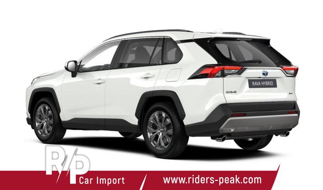 Toyota RAV4 Team Deutschland 2.5 Hybrid 222 4x4 D el.HK SHZ DigC 
